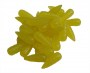 fh207---soft-maggots-a
