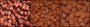 pt017-013---pellet-bait-red-forato-a